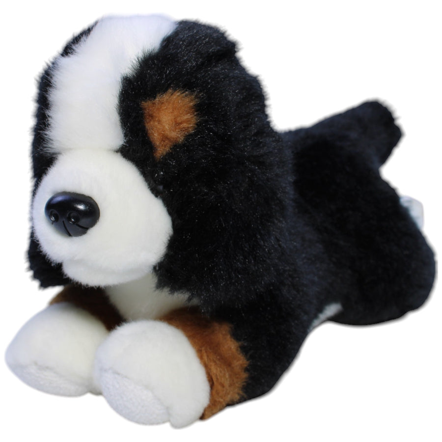 Süßer Berner Sennenhund Welpe, liegend