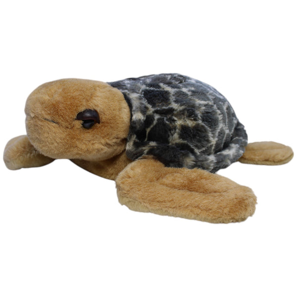 Schildkröte, braun