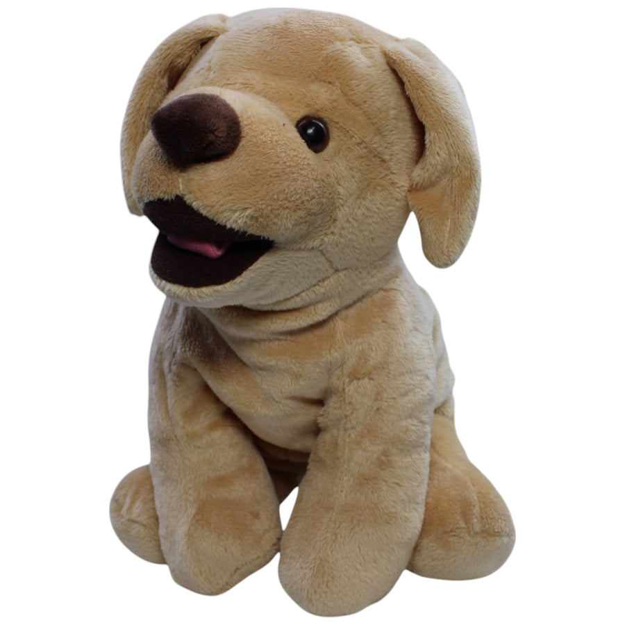 Weicher Golden Retriever Welpe