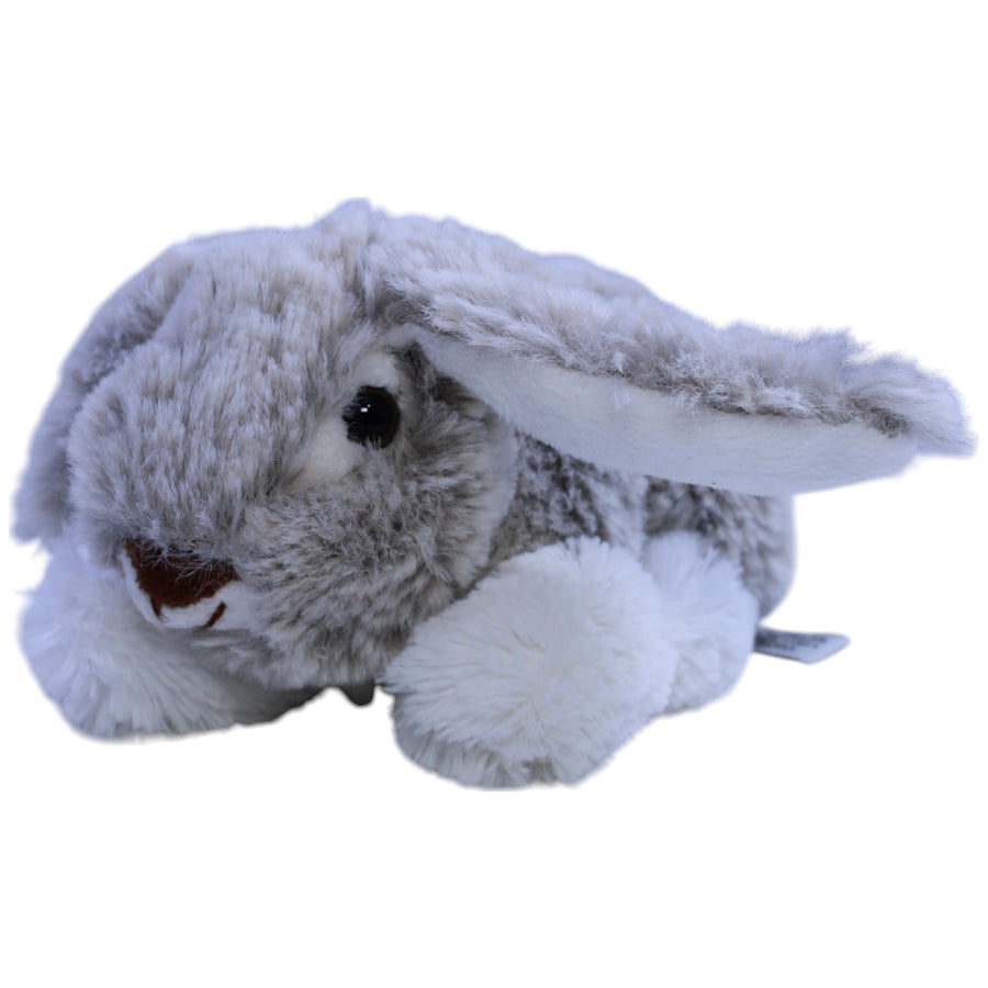 Süßer Hase, klein