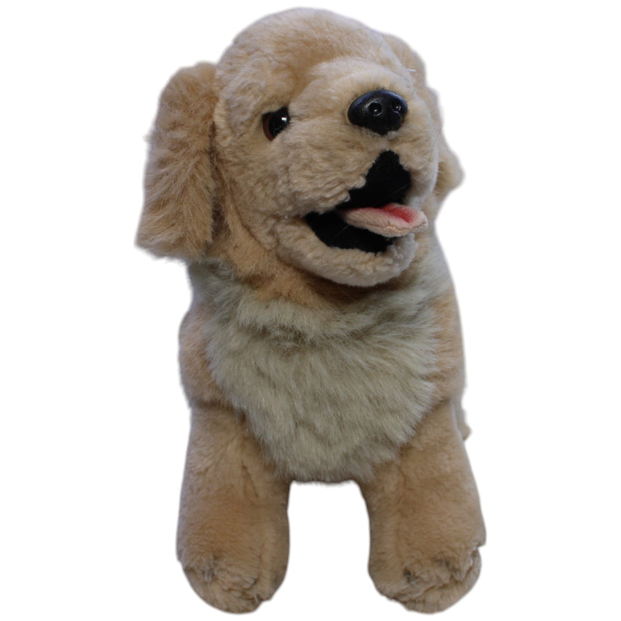 Hübscher Labrador, sitzend