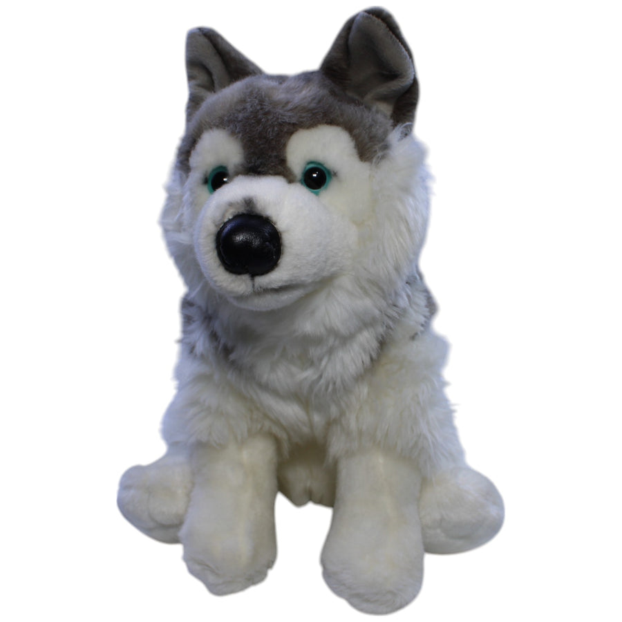 Hübscher Grauwolf, sitzend