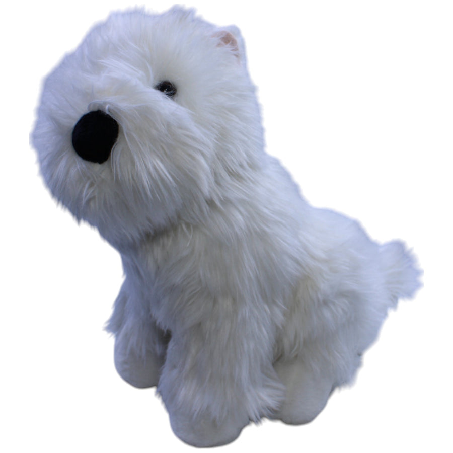 West Highland White Terrier, sitzend