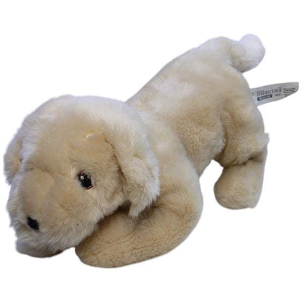 Golden Retriever Welpe, MINNEN HUND