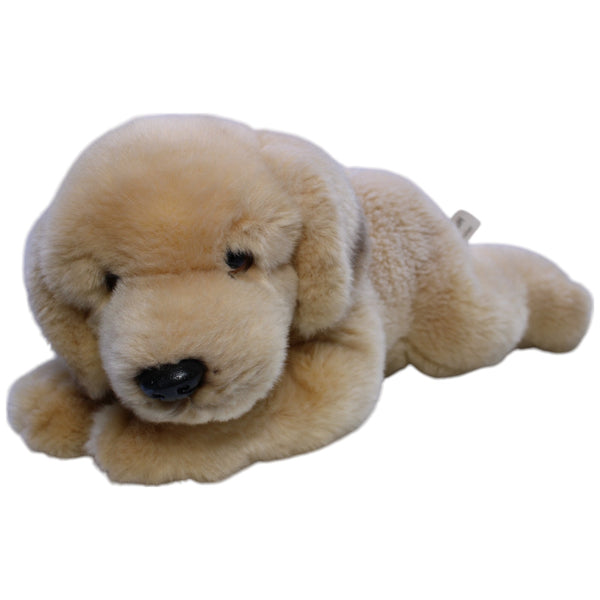 Süßer Golden Retriever Welpe