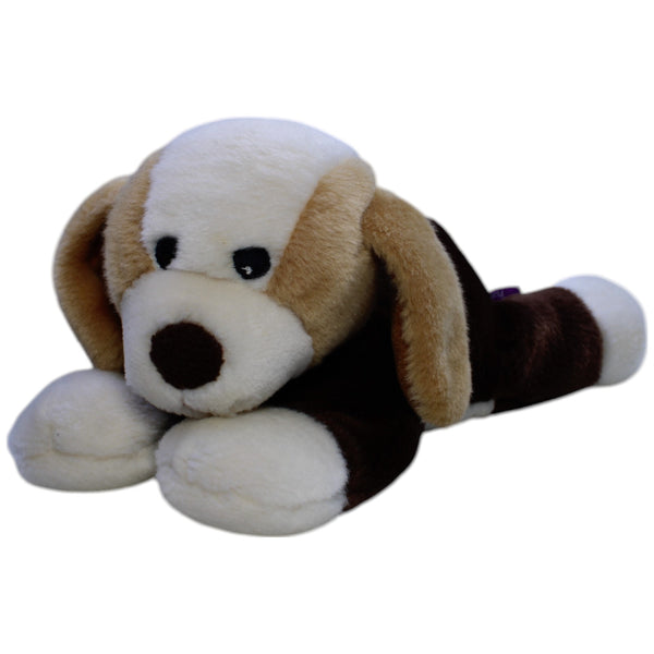 Süßer Beagle, liegend