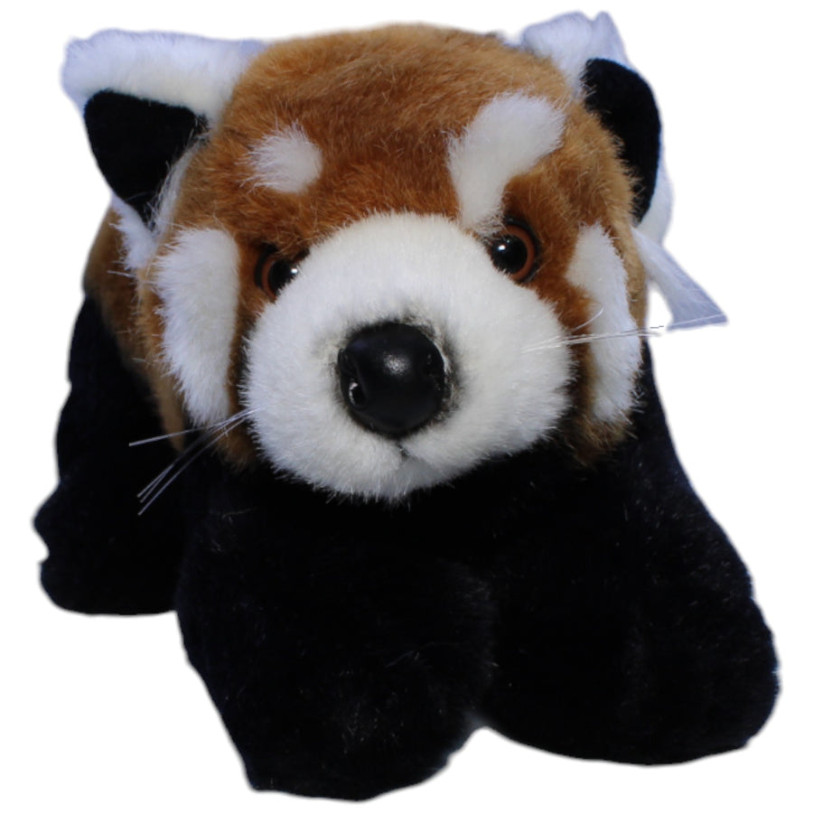 Roter Panda, groß