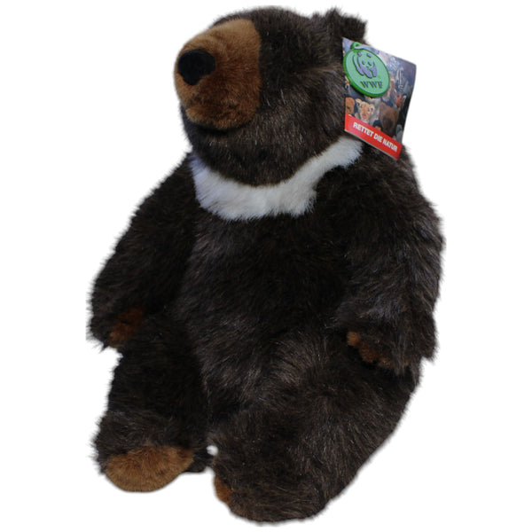 Kragenbär