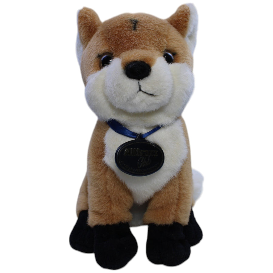 Süßer Shiba Inu