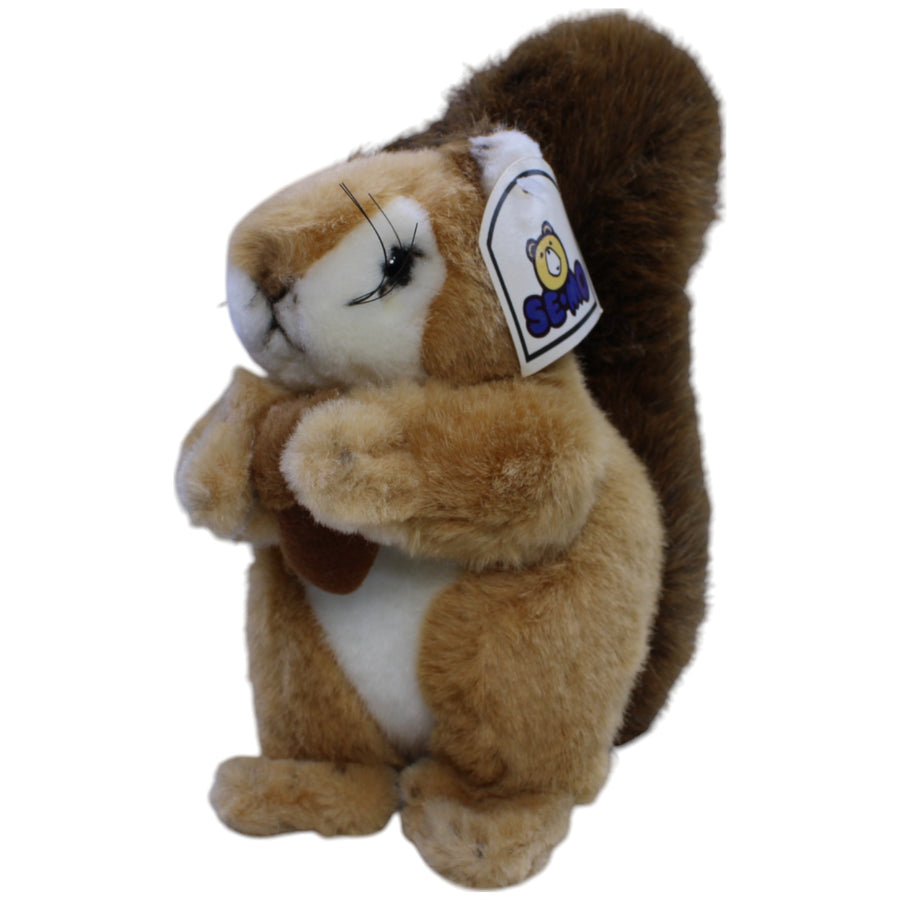 Eichhörnchen, sitzend
