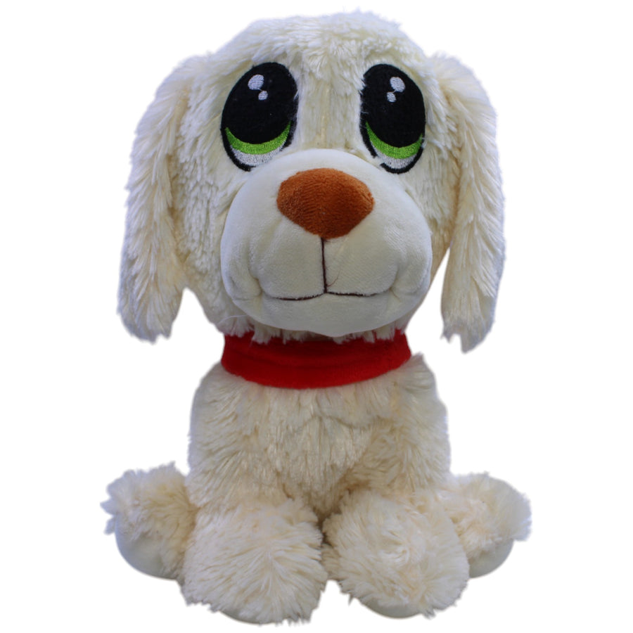 Süßer Hund mit großen Augen, beige