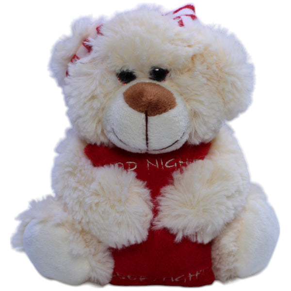 Teddybär mit Kissen "Good Night Sleep Tight"