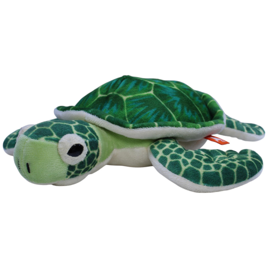 Grüne Meereschildkröte