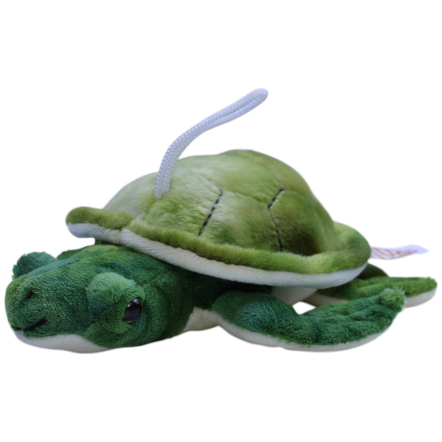 Süße Schildkröte
