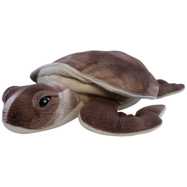 Braune Schildkröte