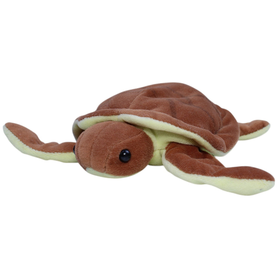 Braune Schildkröte