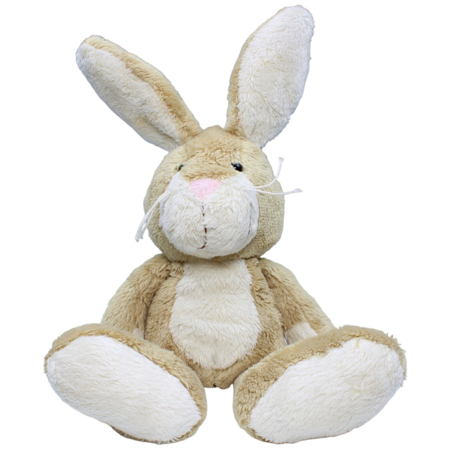 Hase