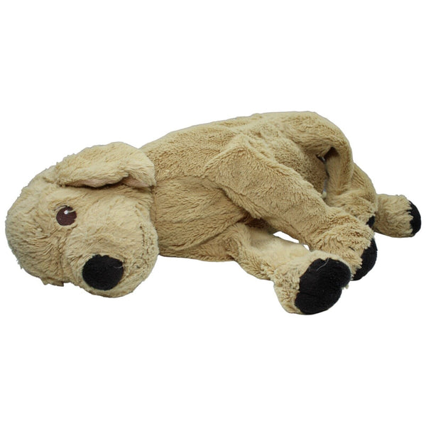 Golden Retriever, GOSIG GOLDEN