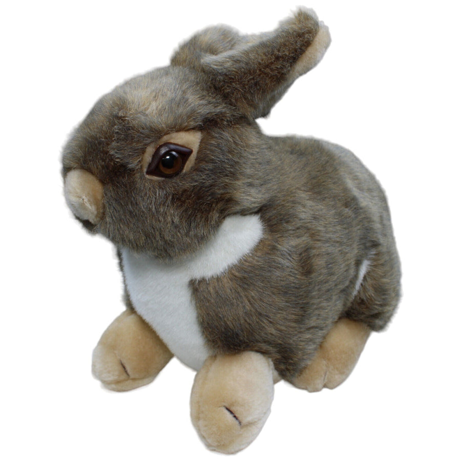XL Hase