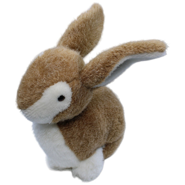 Hase