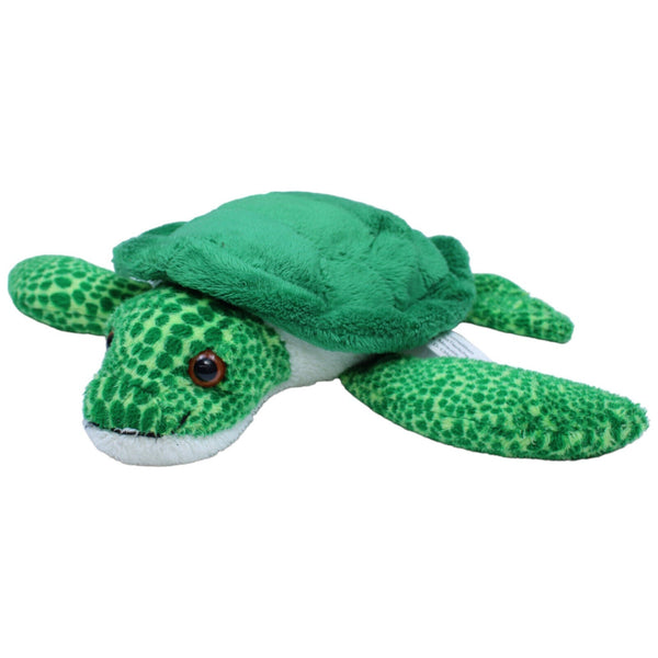 Schildkröte, grün