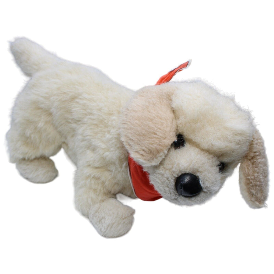 Hund mit Halstuch