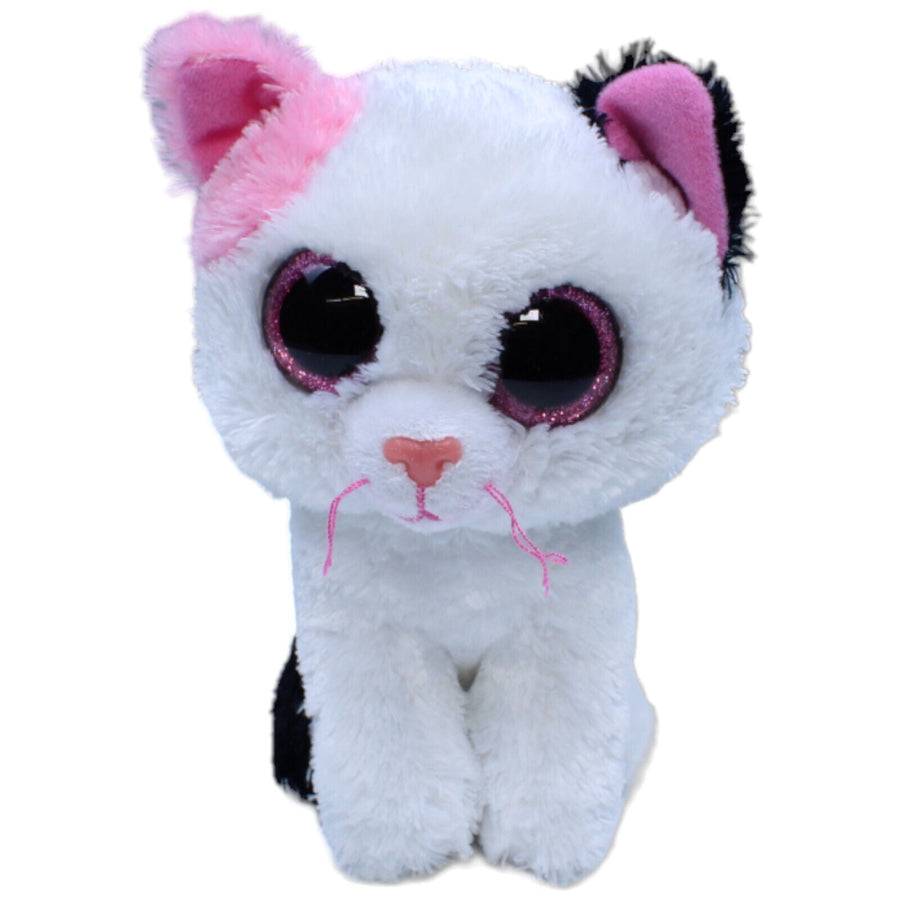 Katze, Carletto