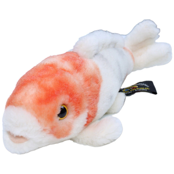 Fisch, Koikarpfen