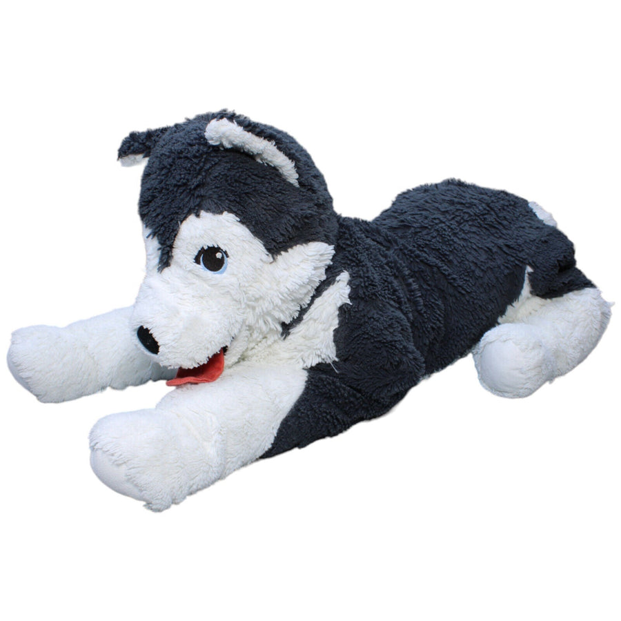 XL Hund, Husky LIVLIG