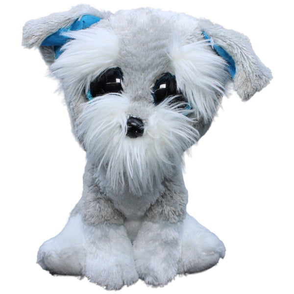 Hund, Schnauzer Whiskers