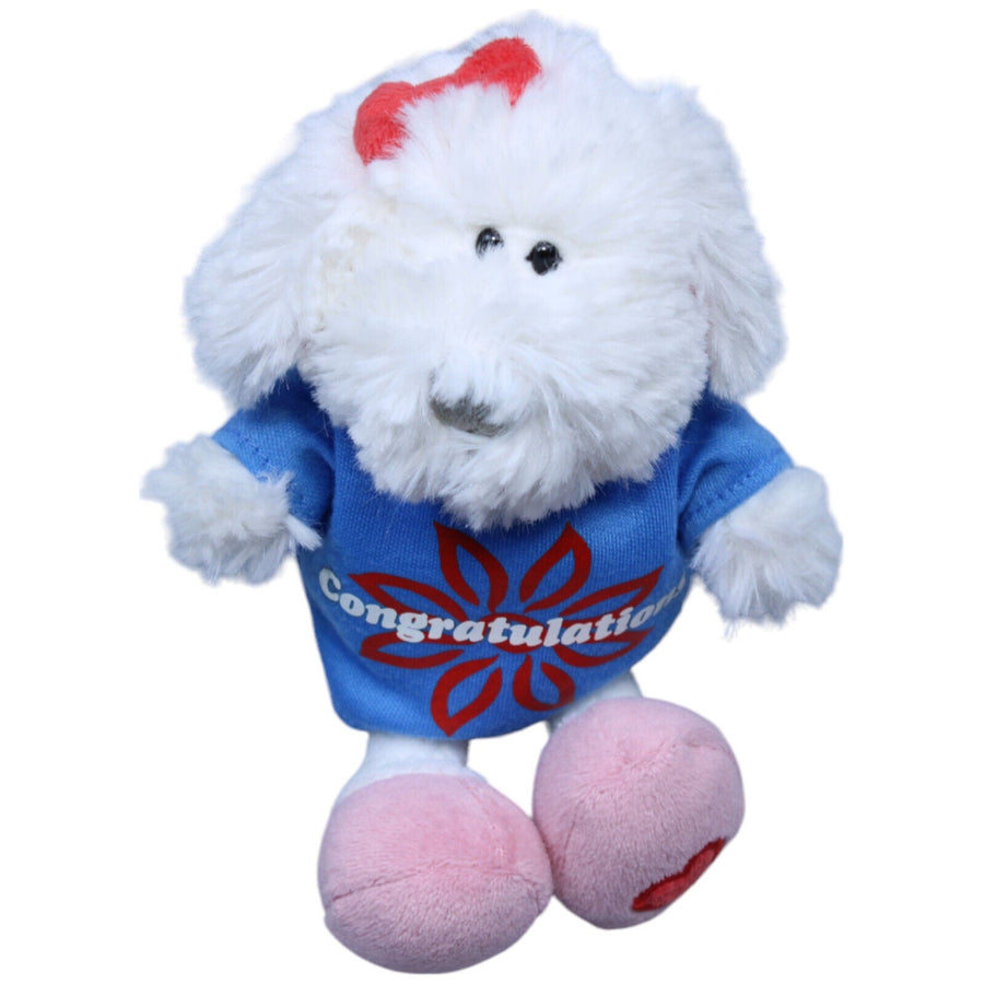 Hund weiß "Congratulations"
