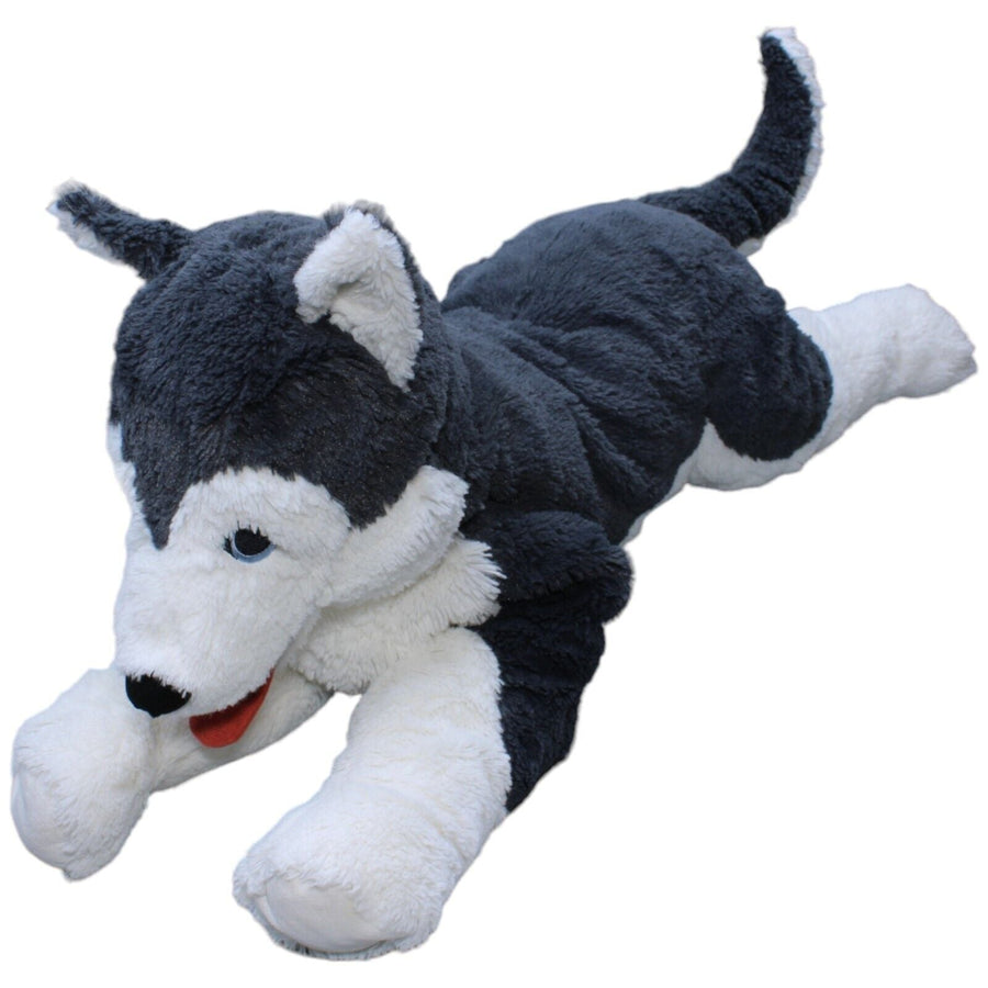 XXL Hund, Husky LIVLIG