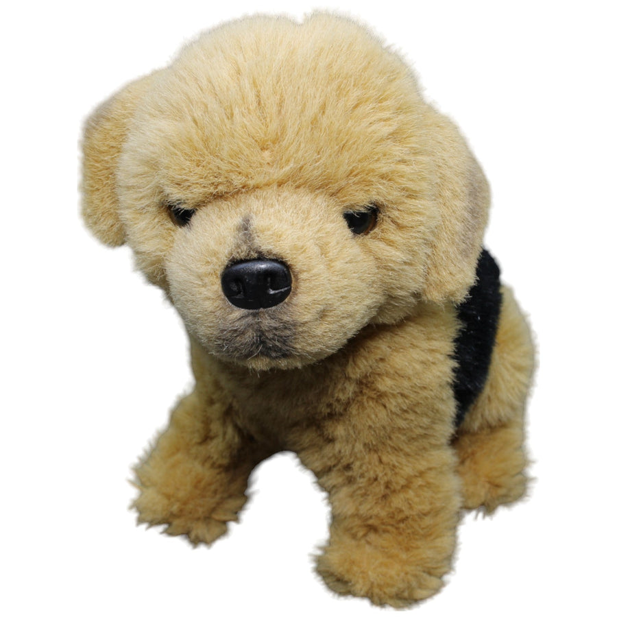 Schäferhund Welpe