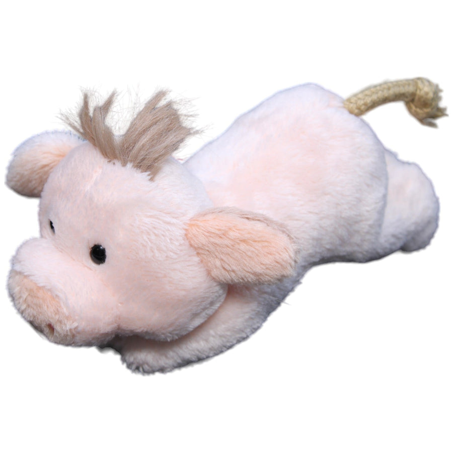 MagNICI, Schwein