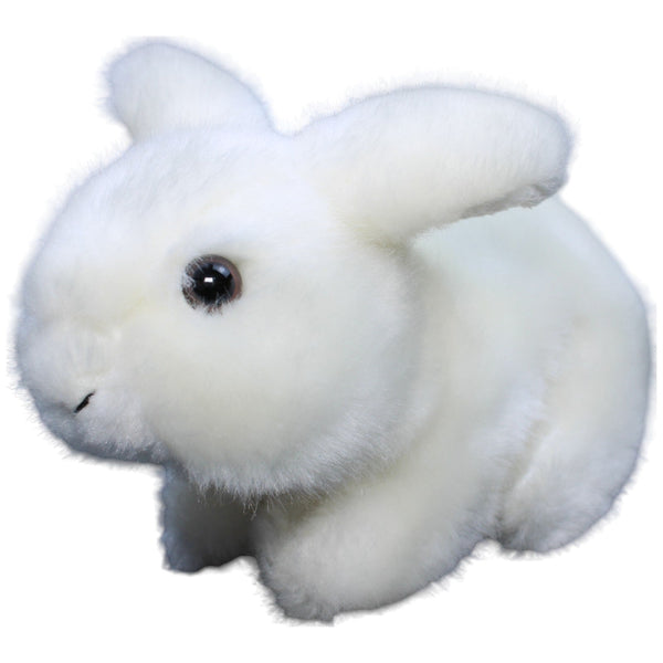 Weißer Hase, Hasi