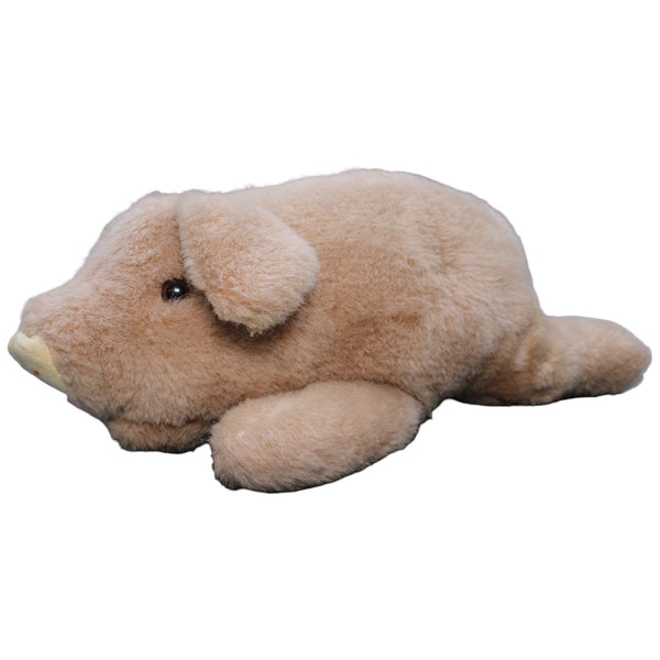 Schwein, braun