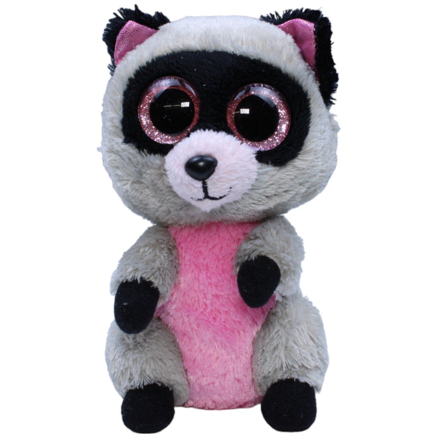 Waschbär Rocco