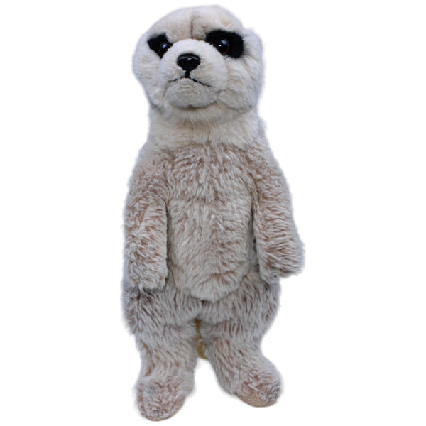 Erdmännchen, stehend