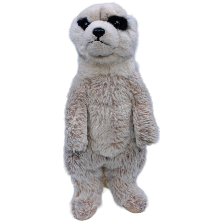 Erdmännchen, stehend