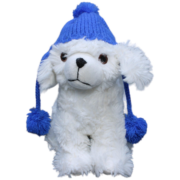 Hund mit blauer Mütze, sitzend