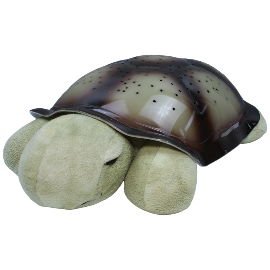 Twilight Turtle