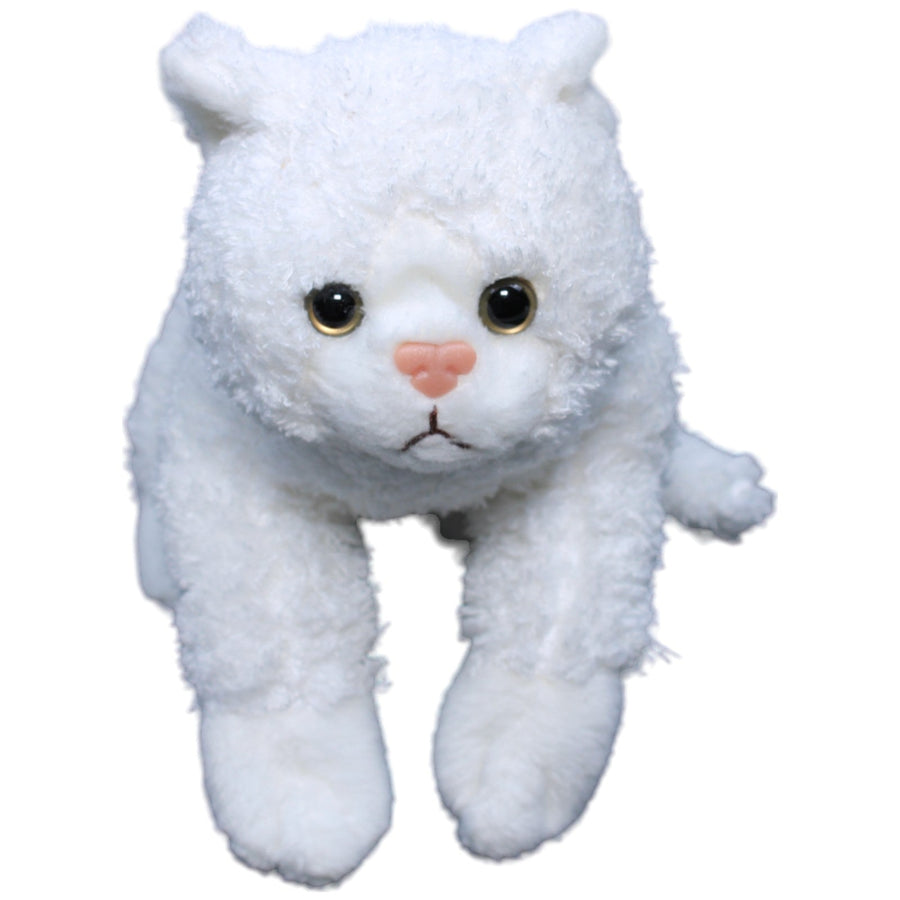 Katzenbaby, weiß
