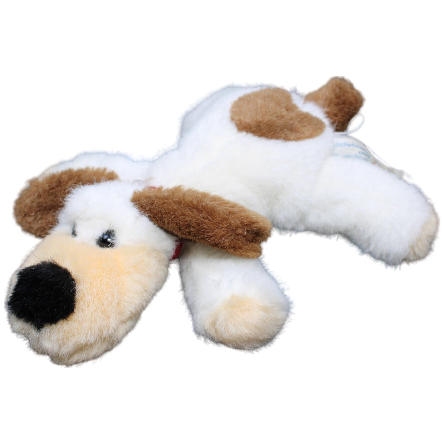 Hund, braun-weiß