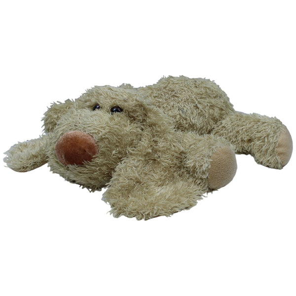 Hund mit großen Ohren, liegend