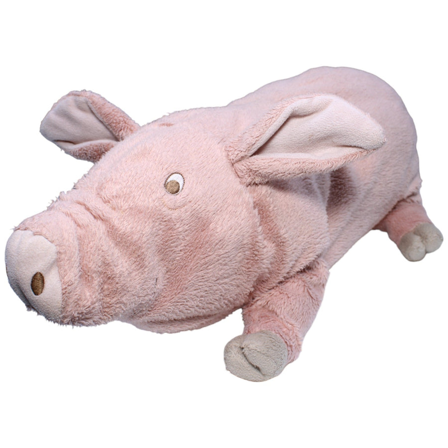 Schwein, KNORRIG