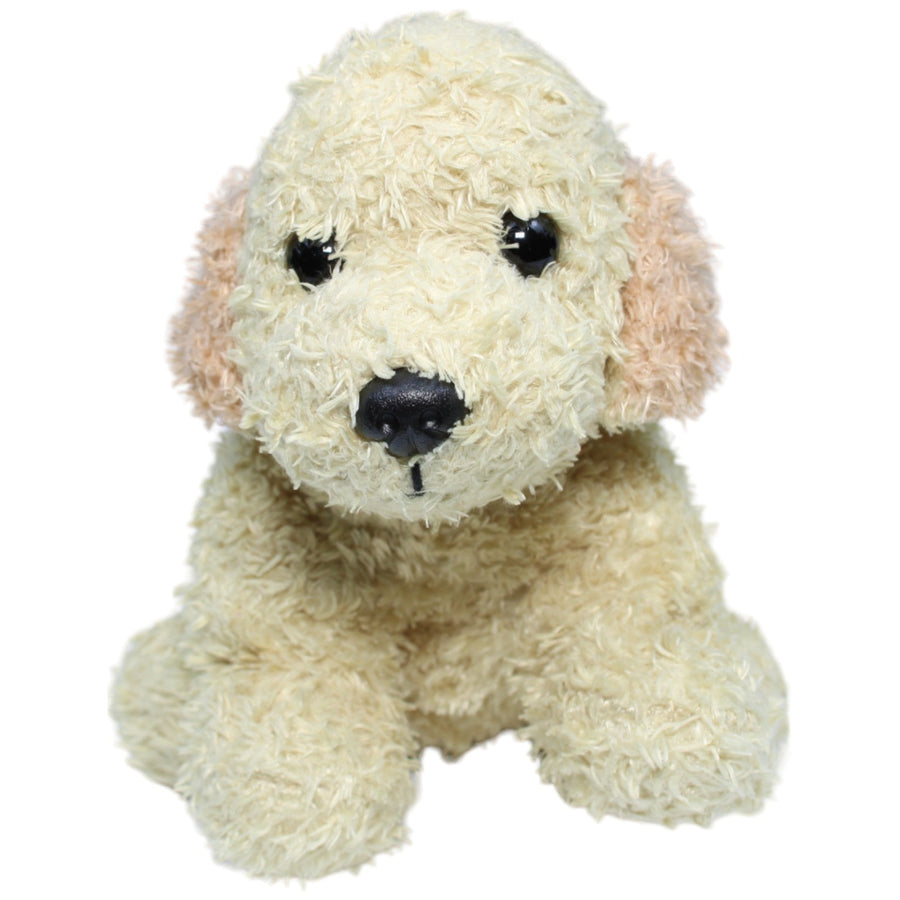 Golden Retriever Welpe