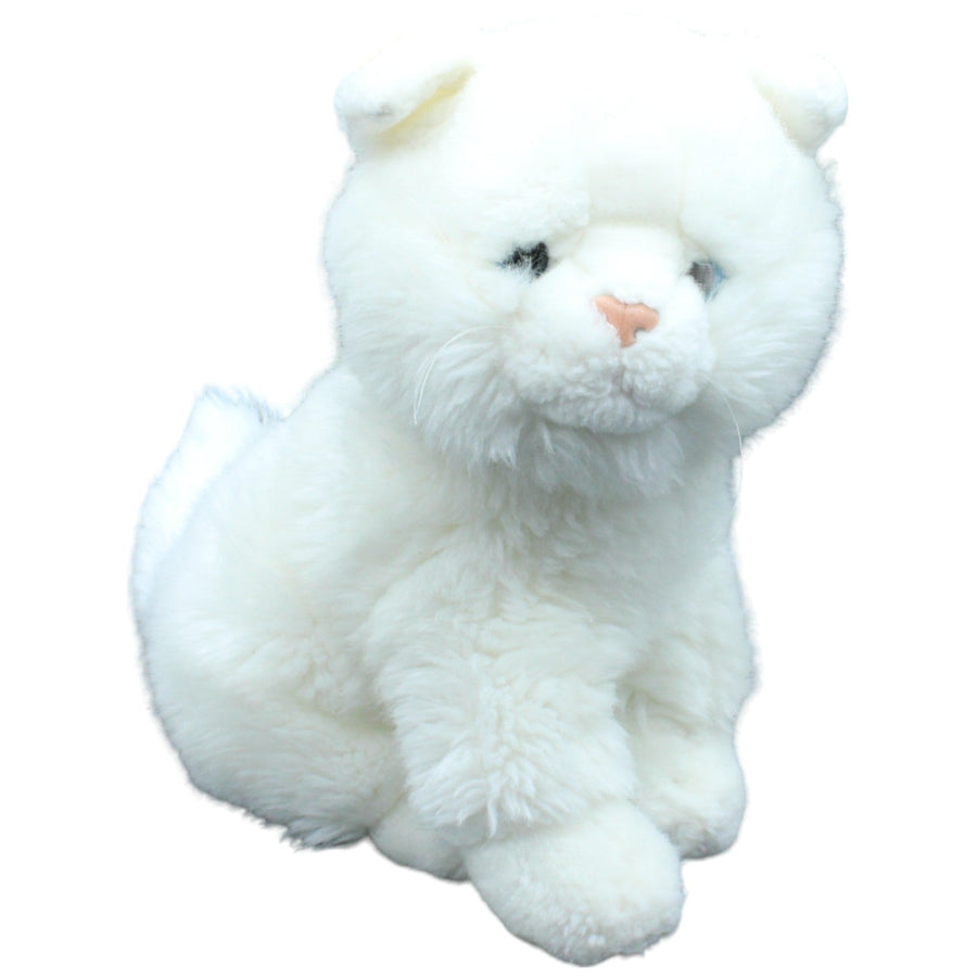 Katze, weiß