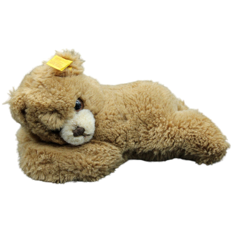 Braunbär, liegend