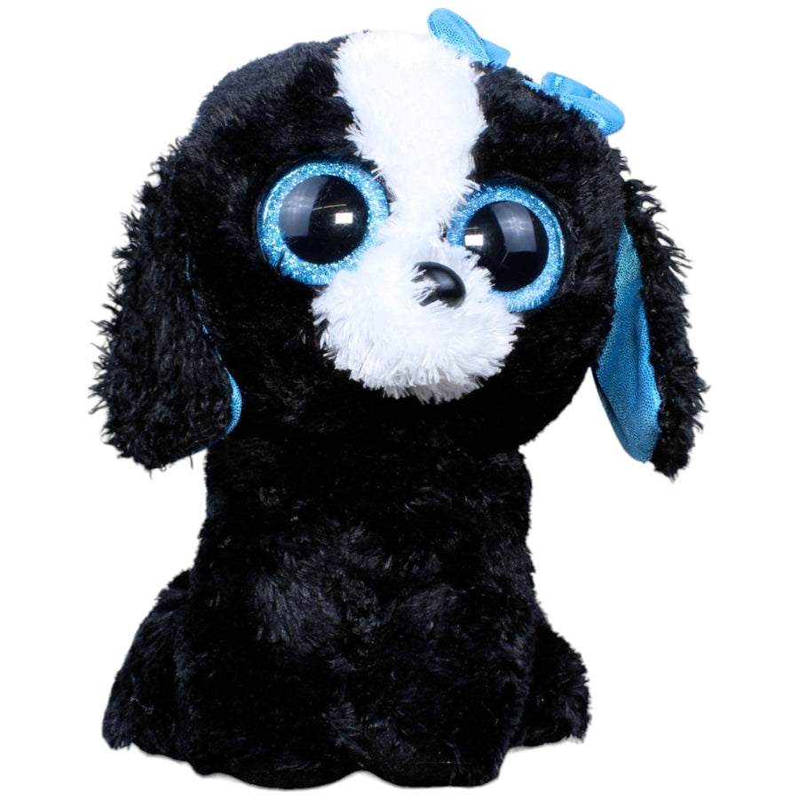Hund, Pudel Tracey