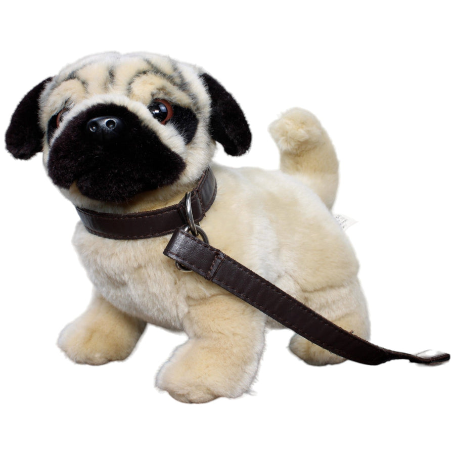 Hund, Mops mit Leine